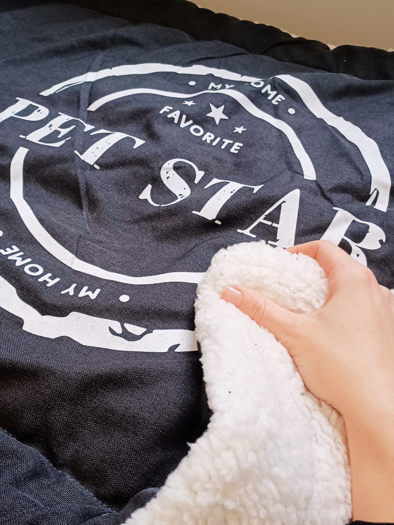 Idée cadeau pour offrir à un animal 