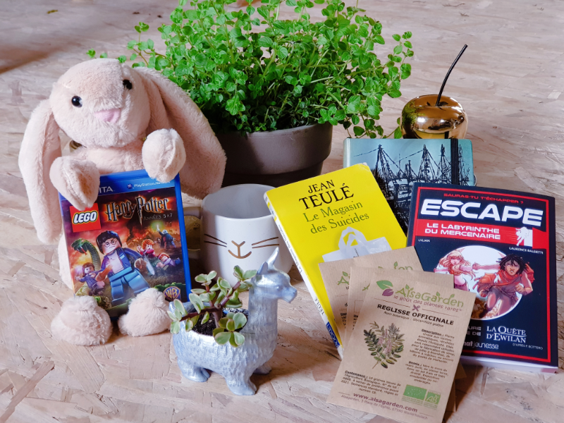 livres graines jeux plantes lapin...