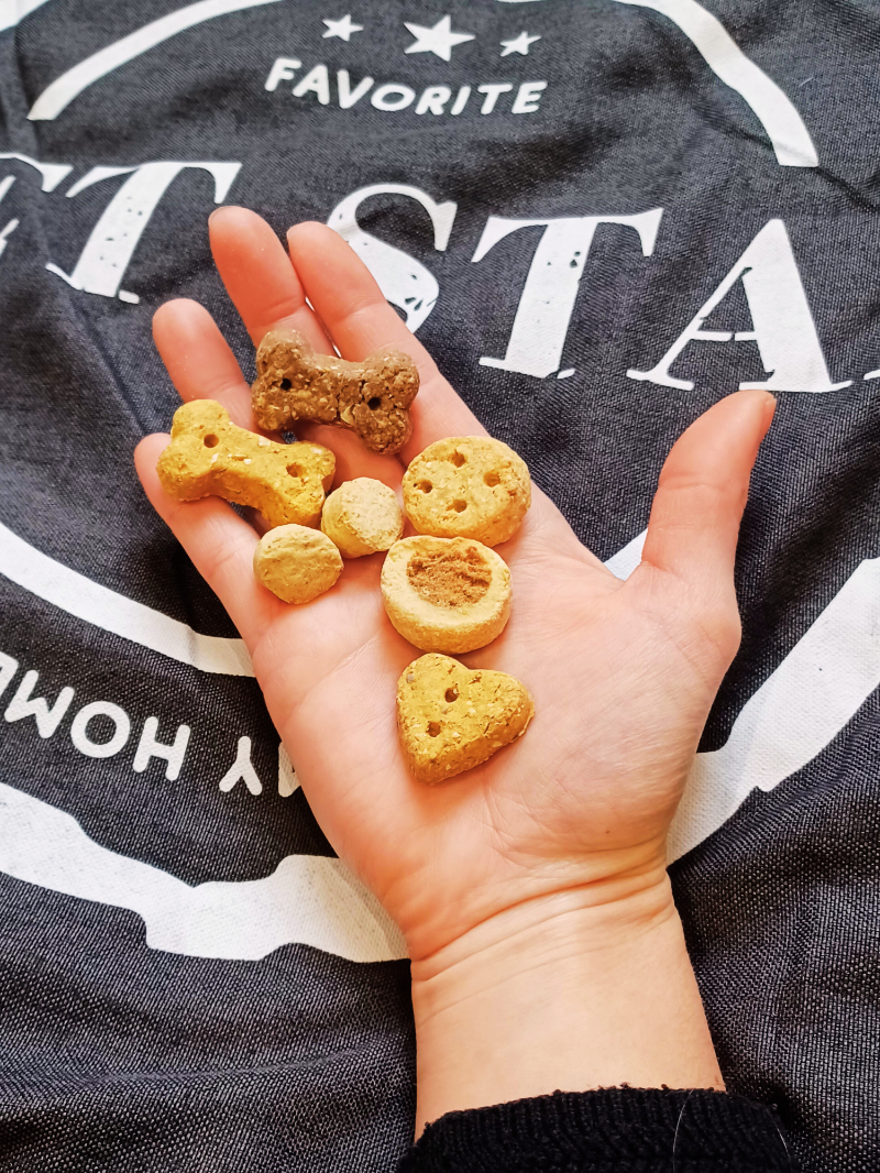 Un tapis tout doux et de bons biscuits 