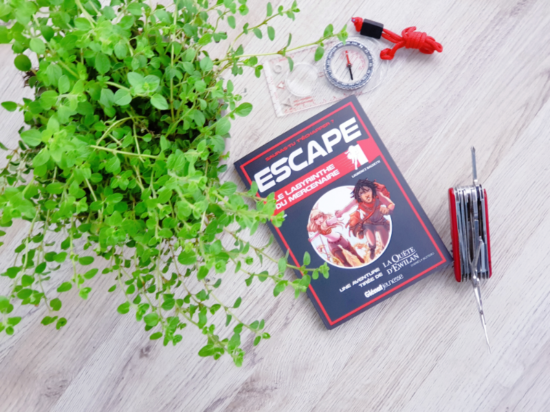 Livre escape - Photo du cadeau