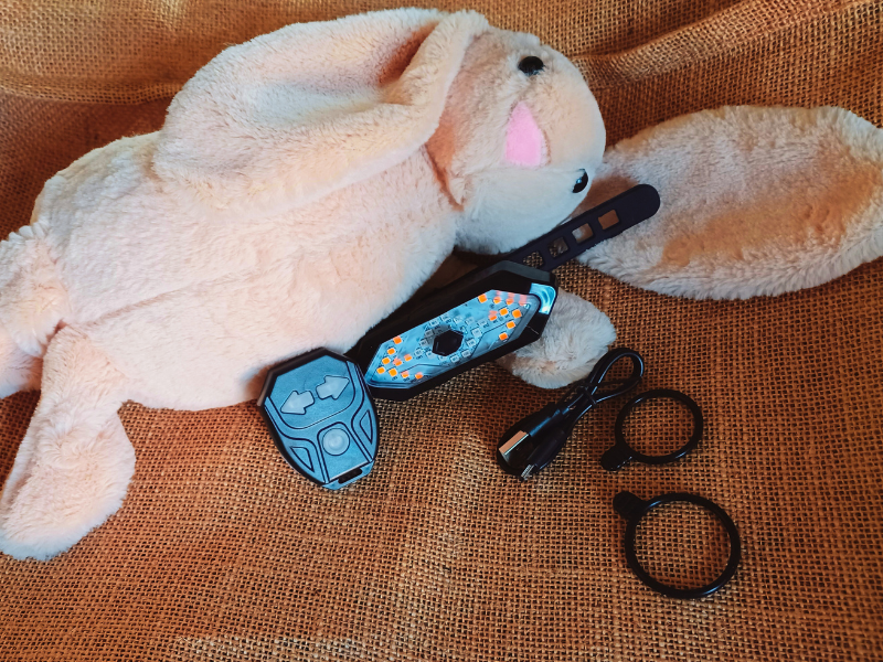 Clignotant vélo - Photo du cadeau