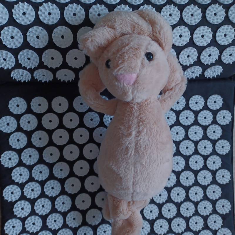 Tapis d'acupression - Photo du cadeau