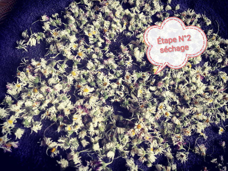 séchage 