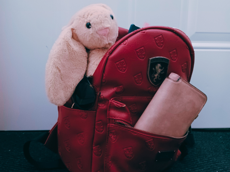 Sac collector Harry Potter - Photo du cadeau