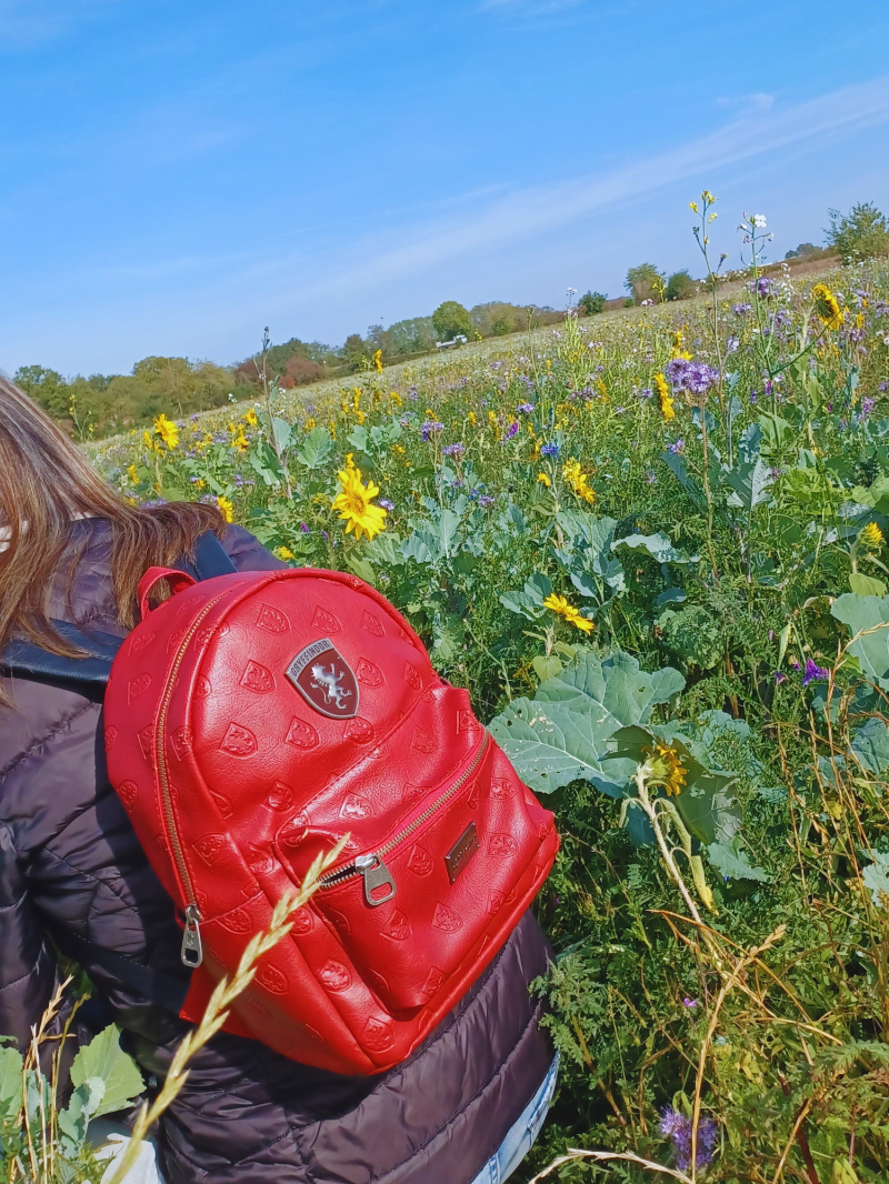 L'affaire est dans le sac de harry potter 